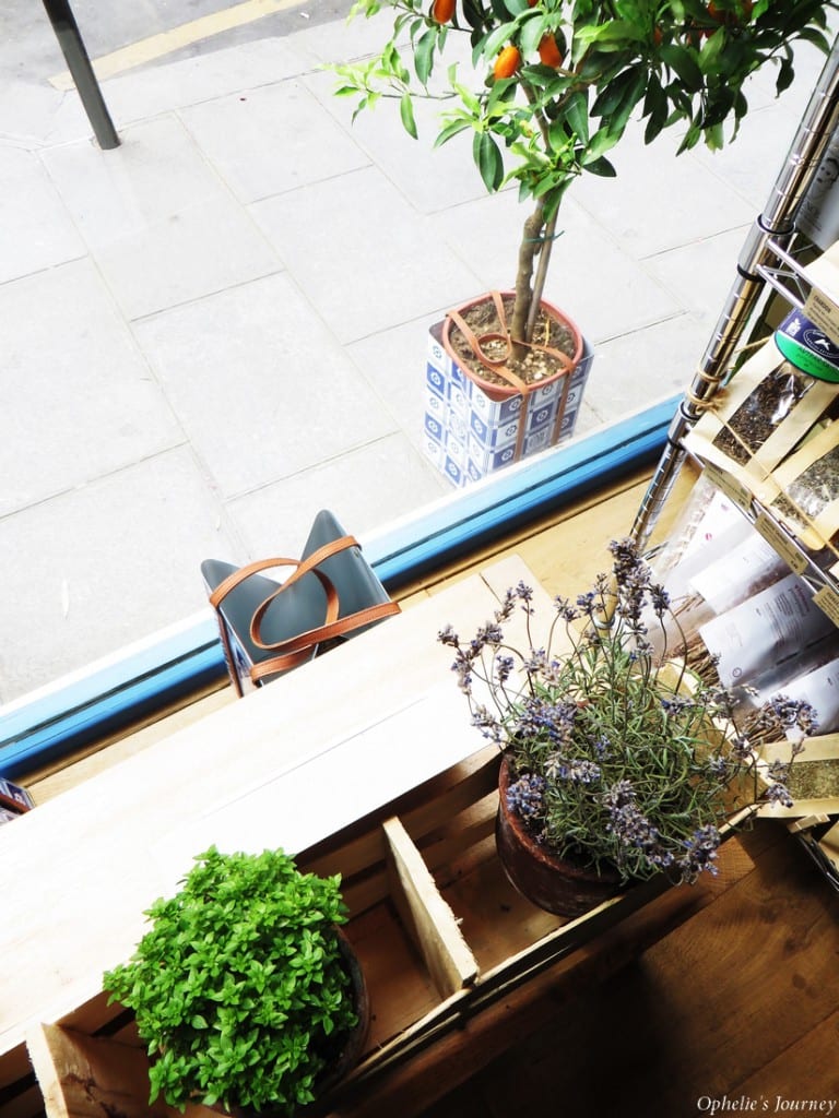 Kilikio - Epicerie grecque 6