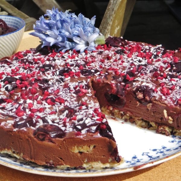 gateau cru chocolat blender