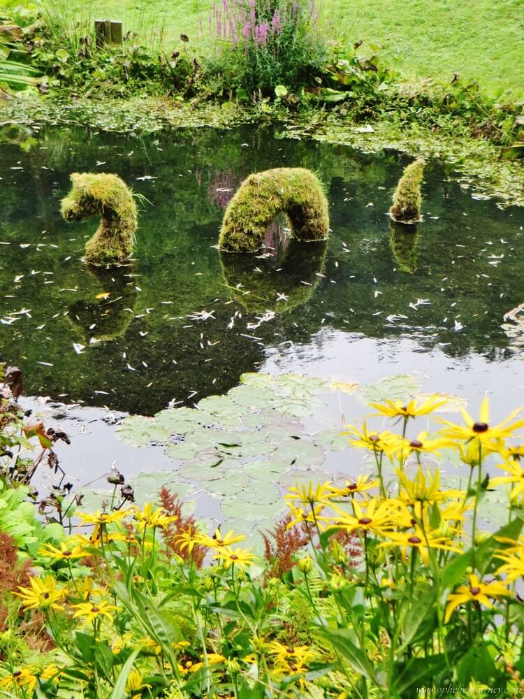 Trebah-Garden-cornouailles