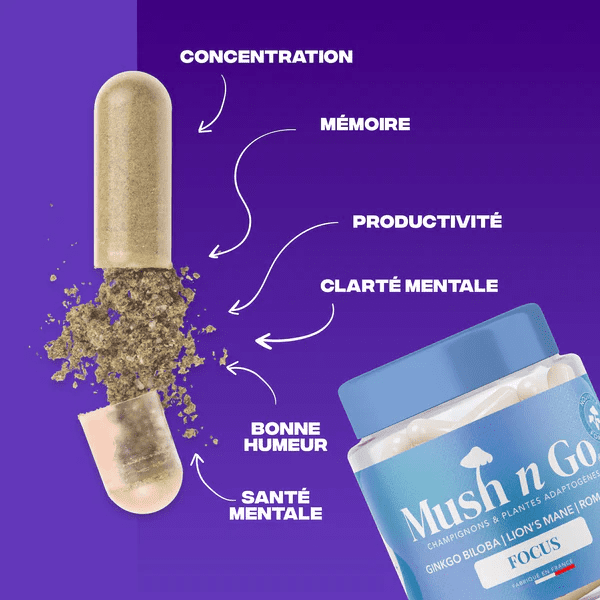 mushngo focus bienfaits