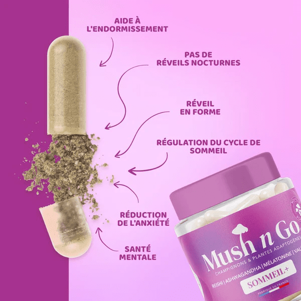 mushngo sommeil bienfaits