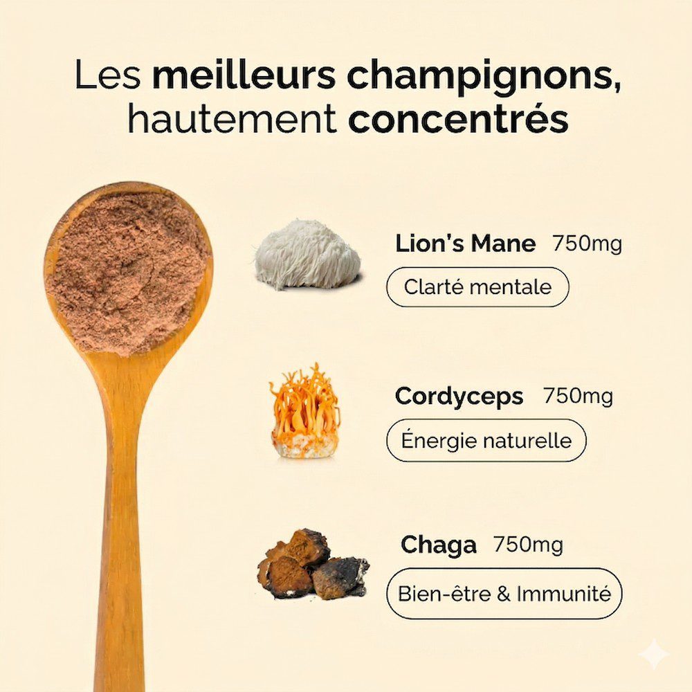 champignons adaptogènes café bonjour