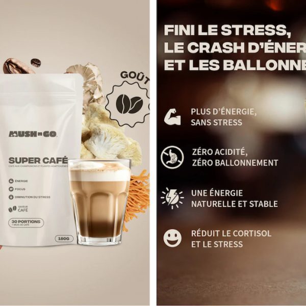avis brainstoorm saveur café mushngo