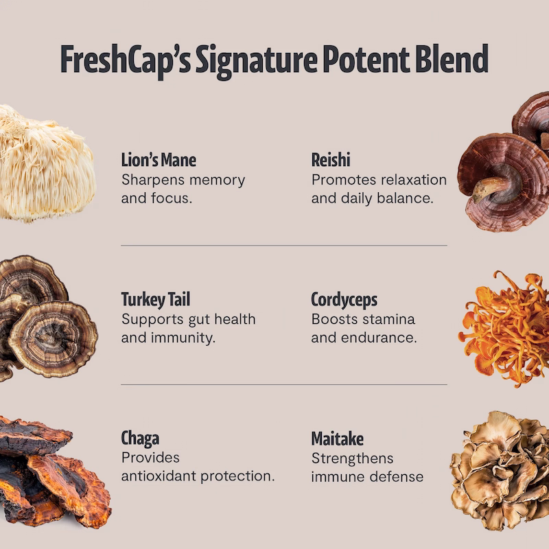 Freshcap ultimate mushroom coffee ingredients